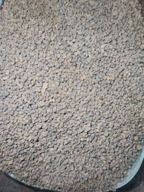 تصویر چای کله مورچه کلکته سیاره 