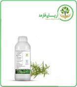 تصویر طعم دهنده رزماری خوراکی 