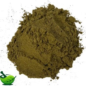 تصویر زیره سبز نرم 