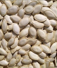 تصویر تخمه کدو خام 