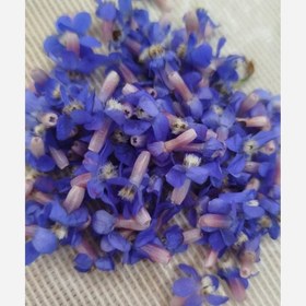 تصویر گل گاوزبان محلی 