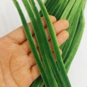 تصویر پیپ پاک کن مخملی سبز زیتونی کد 5 (20عددی) 