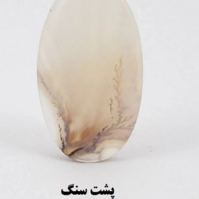 تصویر سنگ شجر کد 2393 