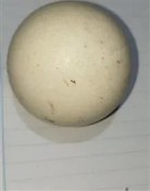 تصویر سنگ الماس آسیابی بزرگ 