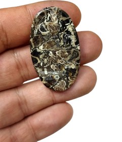 تصویر نگین فسیل تورتیلا خاص وارزشمند T7 