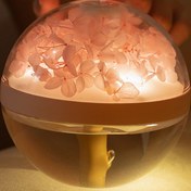 تصویر دستگاه بخور و خوشبوکننده رانمِی مدل LLD-J225 چراغ خواب گل 