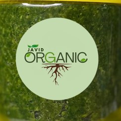 تصویر دلال شمالی 