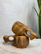 تصویر کوکسا 