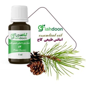 تصویر اسنشیال اویل کاج 