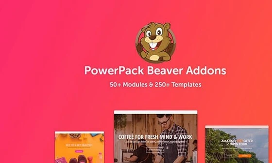 خرید و قیمت دانلود افزونه وردپرس PowerPack برای Beaver Builder Pro | ترب