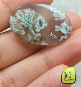 تصویر نگین شجر بهاری 