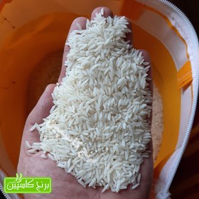 تصویر برنج طارم هاشمی ممتاز 