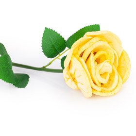 تصویر سیب خشک 