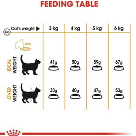 تصویر تغذیه مراقبت از گربه برای مو و پوست 10 کیلوگرم برند royal canin Feline Care Nutrition Hair & Skin 10 KG