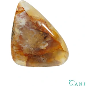 تصویر فروشگاه گنجه گالری