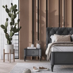 تصویر پاتختی مدل چستر 