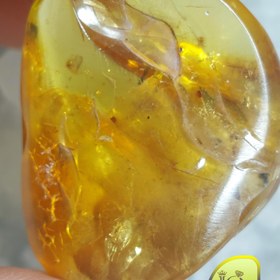 تصویر سنگ کهربا راف 