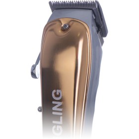 تصویر ست ماشین اصلاح دینگ لینگ Rf-1981 Dingling Rf-1981 Hair Clipper