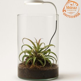 تصویر تراریوم مدل t301 