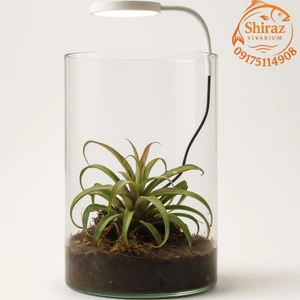 تصویر فروشگاه شیراز ویواریوم