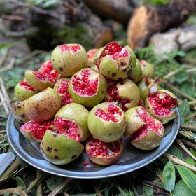 تصویر رب انار جنگلی راز خوشمزگی غذاها