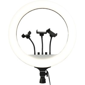 تصویر رینگ لایت 19" RL-19 اورجینال ring light RL-19