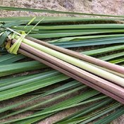 تصویر علف لیمو (لمون گرس / لمون گراس) 