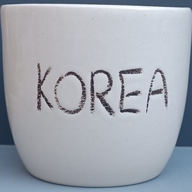 تصویر کاسه نودل خوری 2 کاسه نودل خوری دارای جای قرارگیری چاپ استیک