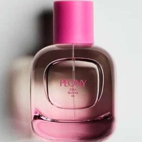 تصویر عطر ادکلن زنانه زارا پیونی اصل | Zara Peony در حجم 10 و 90 میل(اورجینال) 