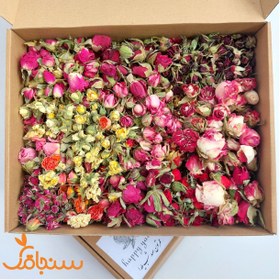 تصویر پک غنچه رز ۲۰ مدل( عمده) 