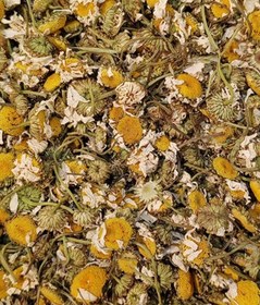 تصویر بابونه 