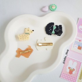 تصویر انبری هاپویی 