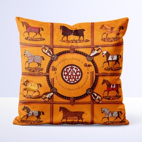 تصویر کوسن طرح هرمس - کد 70108 زمان آماده سازی یک هفته کاری