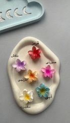 تصویر مینی کلیپس پلومریا 