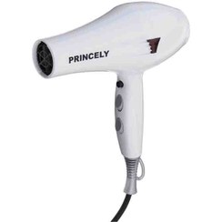 تصویر سشوار پرینسلی مدل PR249AT ظرفیت ۲۴۰۰ وات با باد سرد 