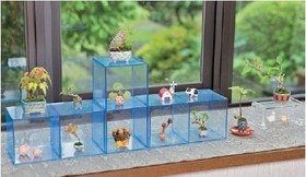 تصویر کوچک‌ ترین بونسای آموزش کامل بونسای‌های فوق‌کوچک