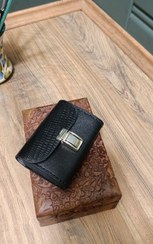 تصویر جاکارتی آکاردئونی،کد 45 