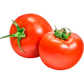 تصویر بذر گوجه‌فرنگی گرد 50 و 100 عددی