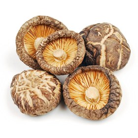 تصویر قارچ شیتاکه خشک ضد hpv بسته 100گرمی Dry shiitake mushroom anti-hpv package 100 grams