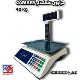 تصویر ترازو علمکدار 40 کیلوگرم کمری 