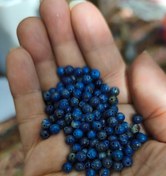 تصویر مهره لاجورد افغان سایز ۴سنگ اصل طبیعی سوراخ دار 