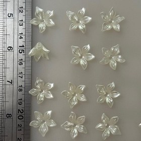 تصویر خرجکار گلبرگ صدفی 