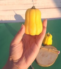 تصویر شمع پاییزه کدو - دراز / بدون عطر Pumpkin candle