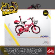 تصویر دوچرخه شهری بچگانه دولفین صندوق دار و سبد دار و پشتی دار سایز 16 DOLPHIN Bicycle kids Size 16 2019 