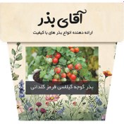 تصویر بذر گوجه گیلاسی قرمز گلدانی 