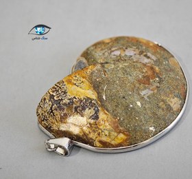 تصویر فسیل آمونیت 24 گرم 