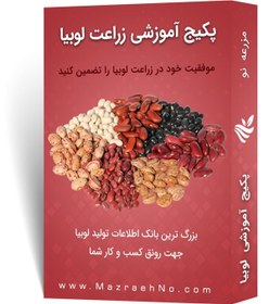 تصویر آموزش کشت لوبیا 