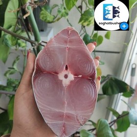 تصویر ماهی شیر تازه و صید روز بوشهر لطفا برای هر سبد خرید یک عدد کائو چوب هم سفارش بدهید .(پک10کیلویی ) 