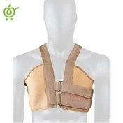 تصویر حمایت کننده قفسه سینه (ادور) 