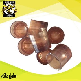 تصویر سلول ملكه 